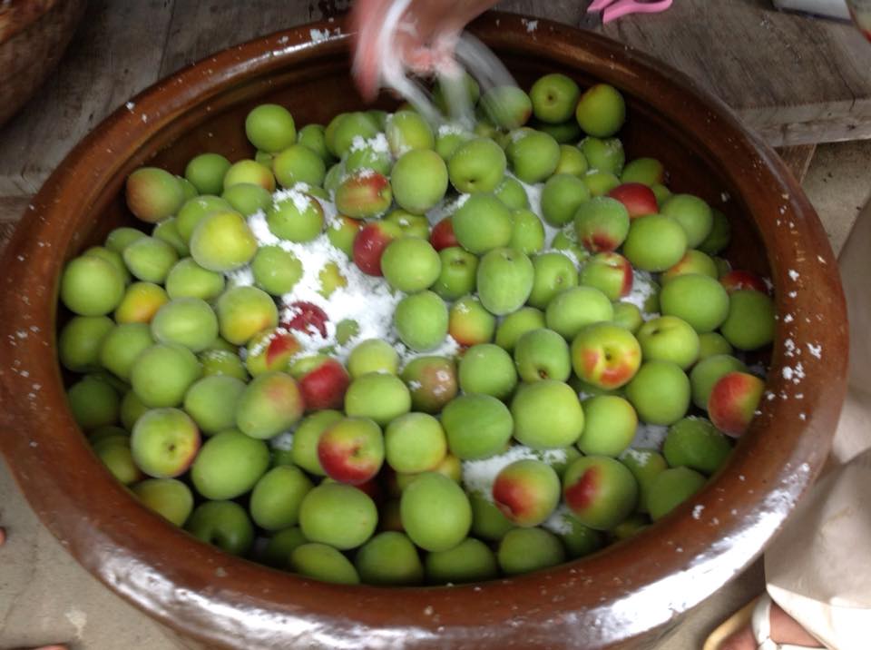 making umeboshi